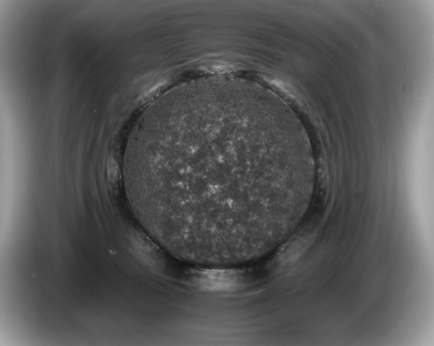 X0000087560371200704271230