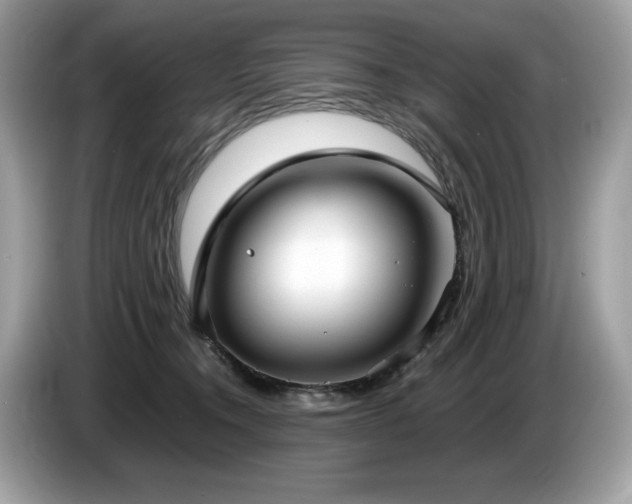 X0000087560372200704271230