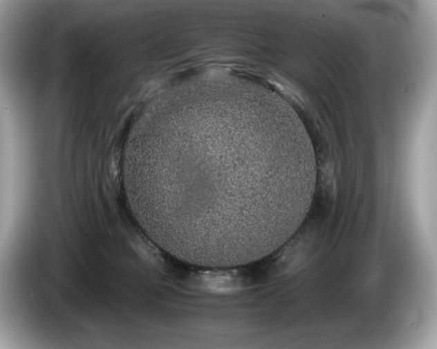 X0000087560373200704271230