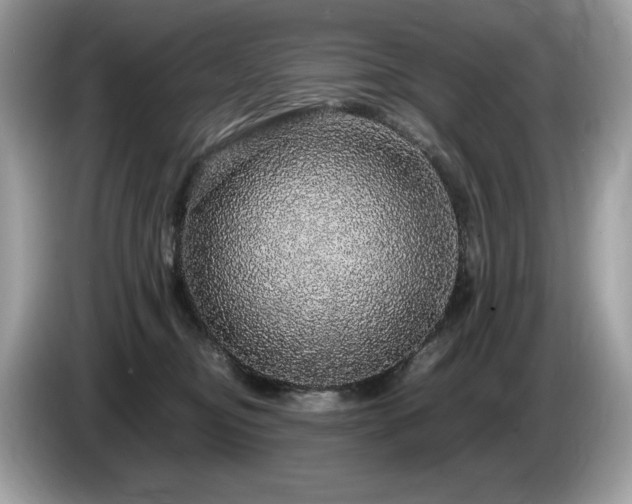 X0000087560374200704271230