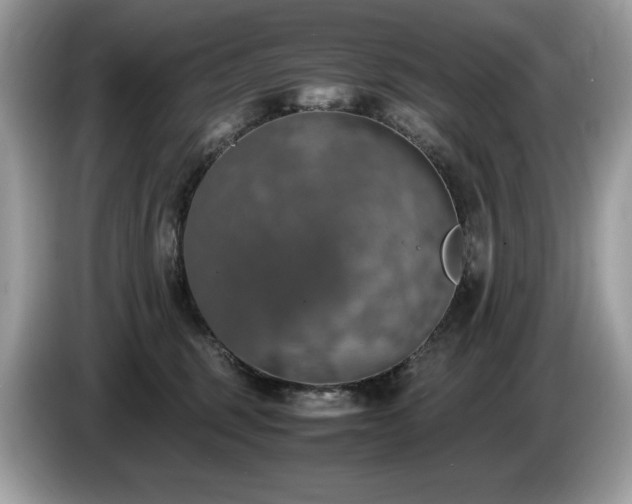 X0000087560375200704271230