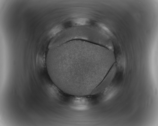 X0000087560376200704271230