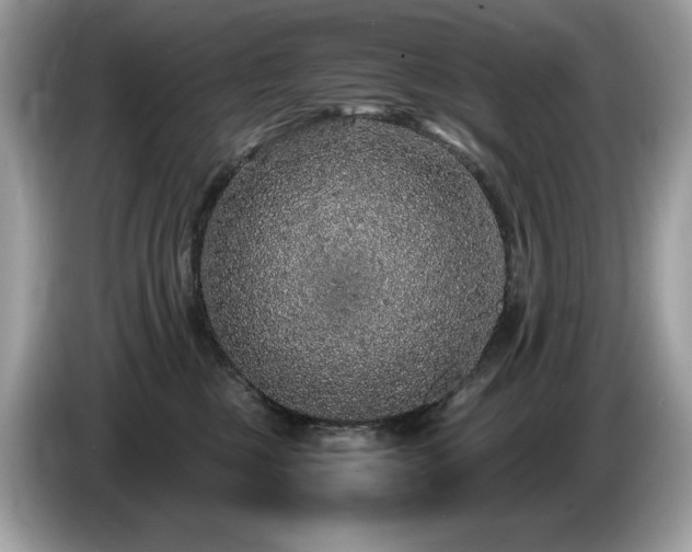 X0000087560377200704271230