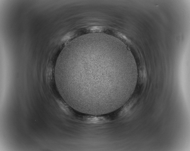 X0000087560379200704271230