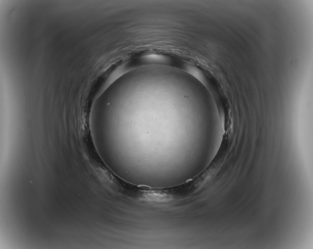 X0000087560380200704271230
