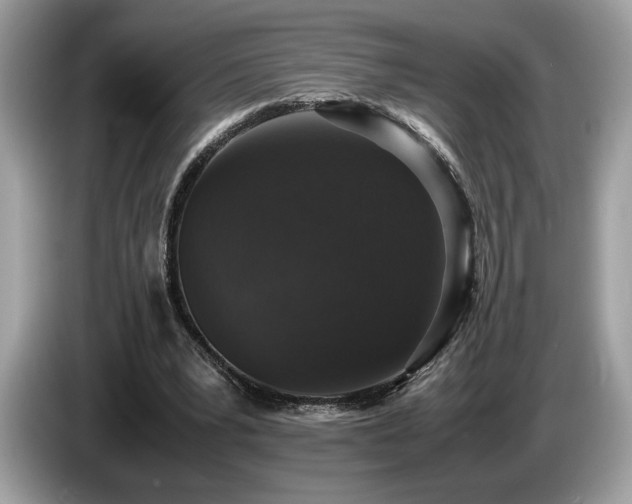 X0000087560391200704271230