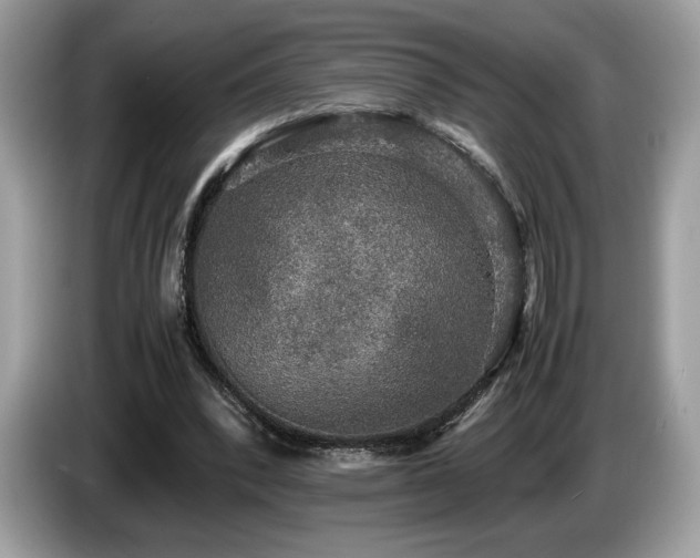 X0000087560392200704271230