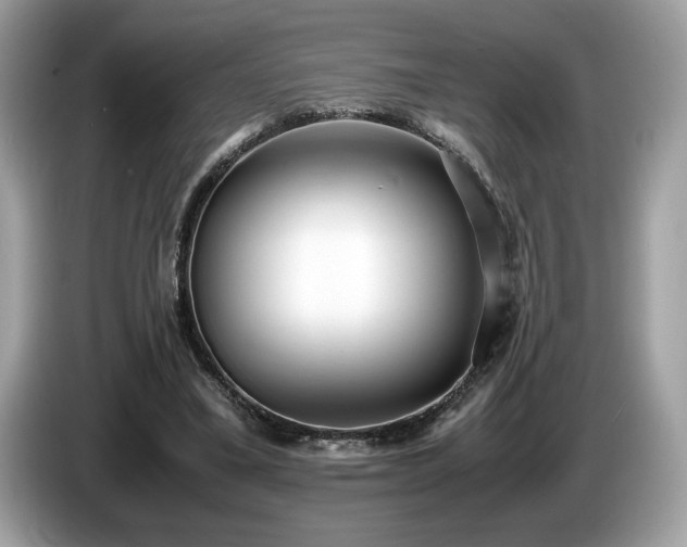 X0000087560395200704271230