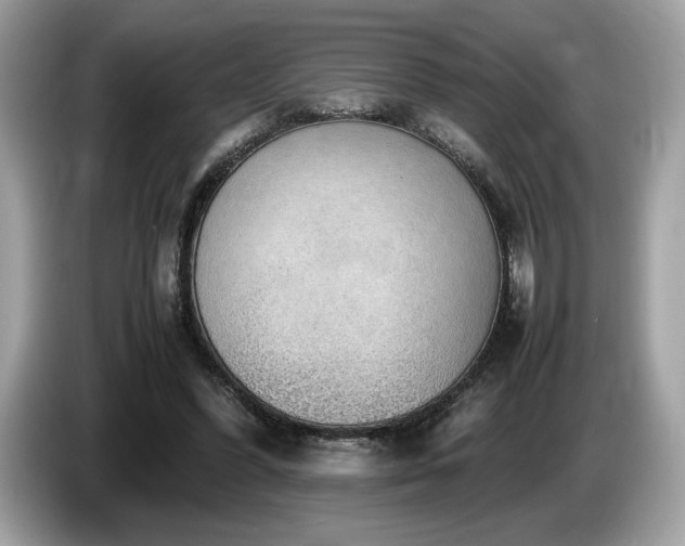 X0000087560396200704271230