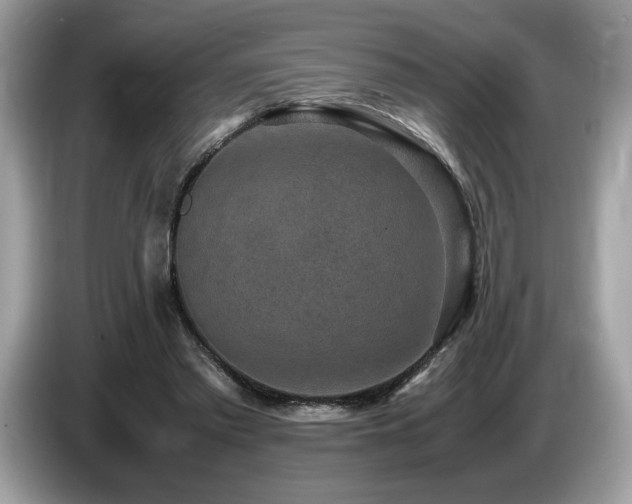 X0000087560397200704271230