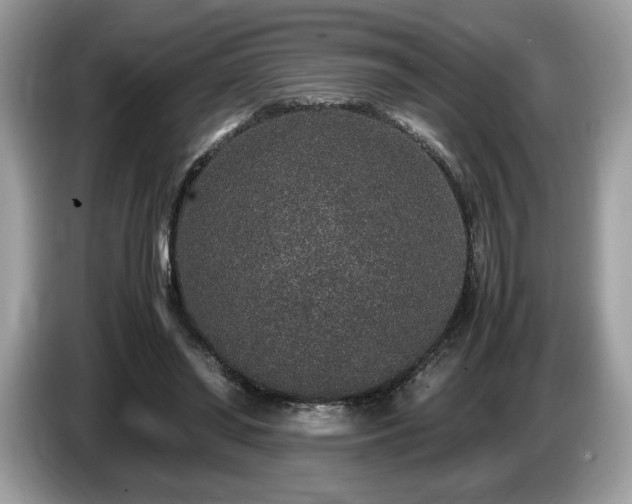 X0000087560398200704271230