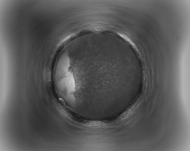 X0000087560399200704271230