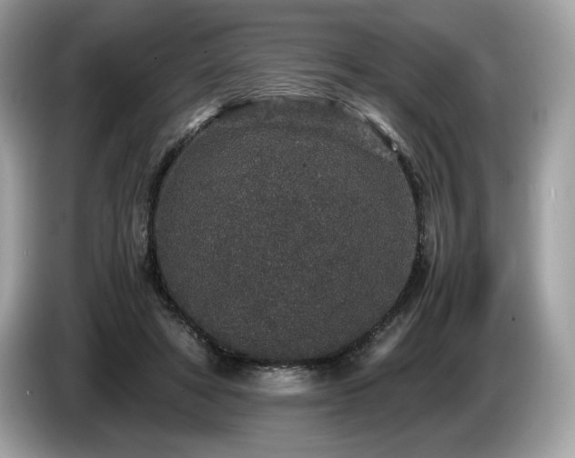 X0000087560402200704271230