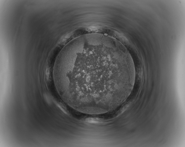 X0000087560408200704271230
