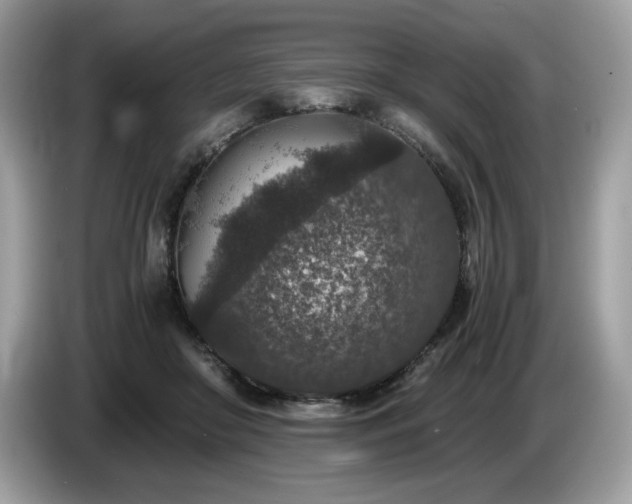 X0000087560410200704271229