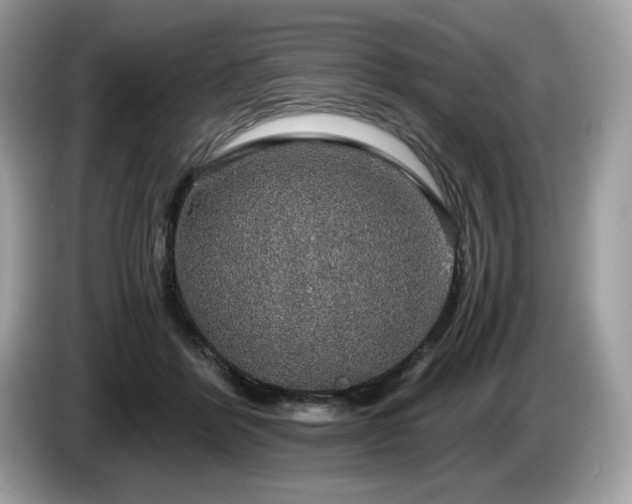 X0000087560412200704271229