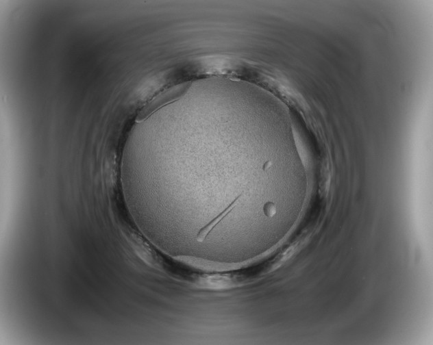 X0000087560413200704271229