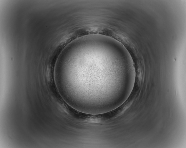 X0000087560416200704271229
