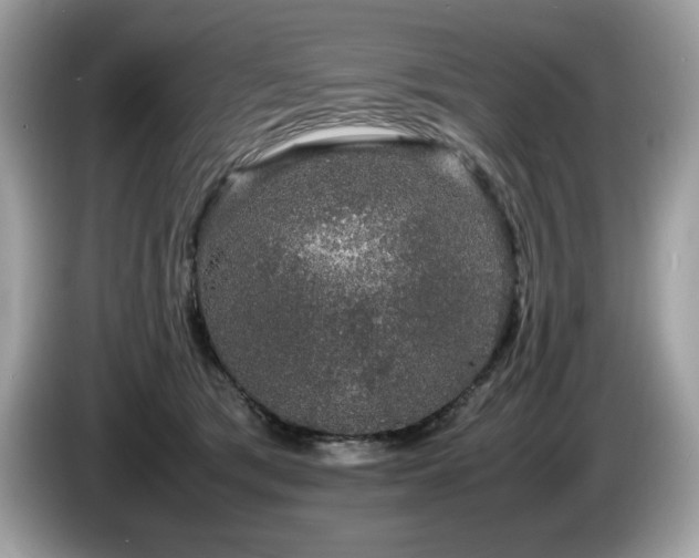 X0000087560417200704271229