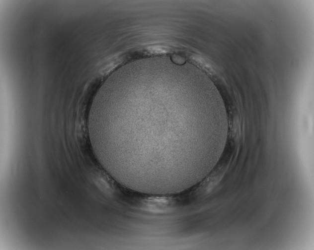 X0000087560418200704271229