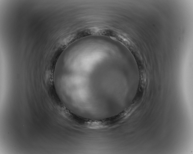 X0000087560419200704271229
