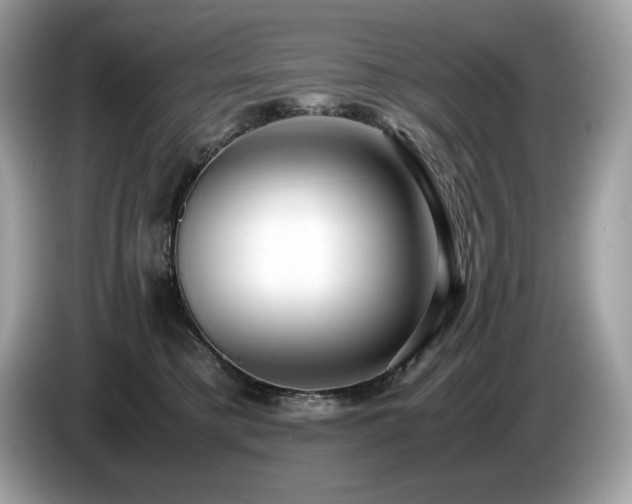 X0000087560421200704271229