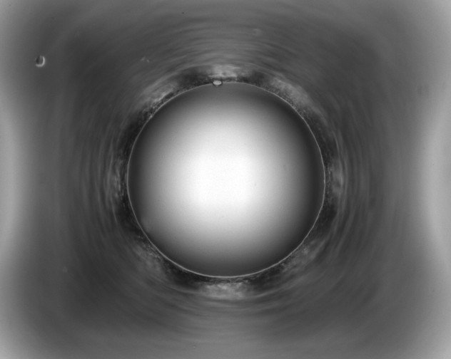 X0000087560422200704271229