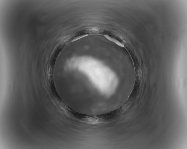 X0000087560423200704271229