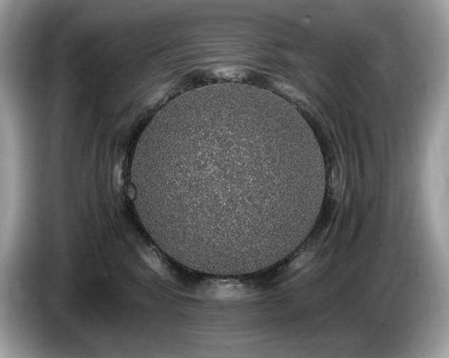 X0000087560424200704271229