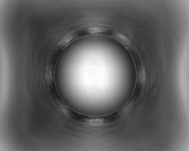 X0000087560426200704271229