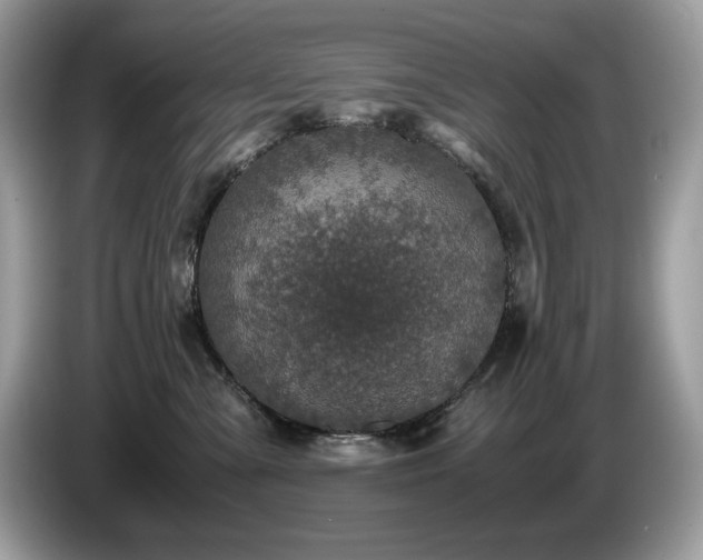 X0000087560427200704271229