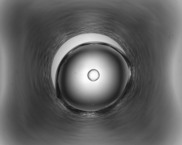 X0000087560428200704271229