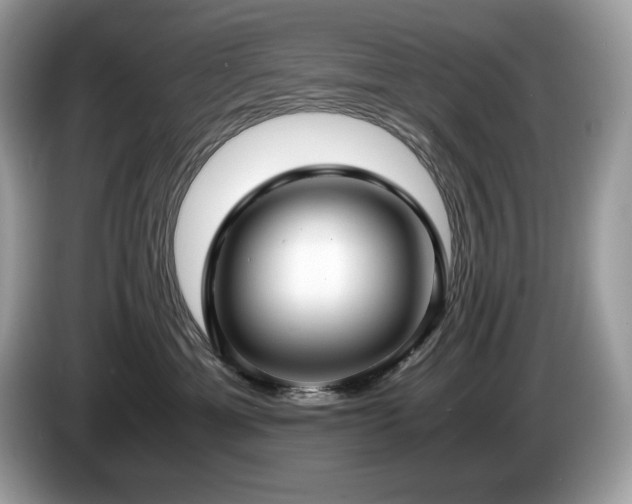 X0000087560429200704271229