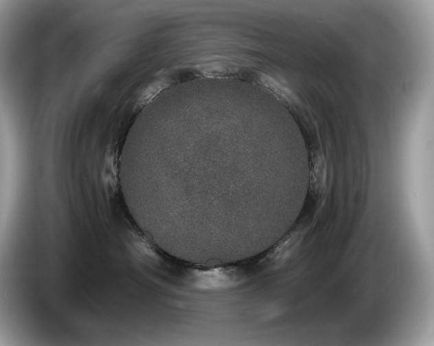 X0000087560430200704271229