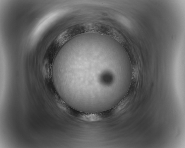 X0000087560431200704271229