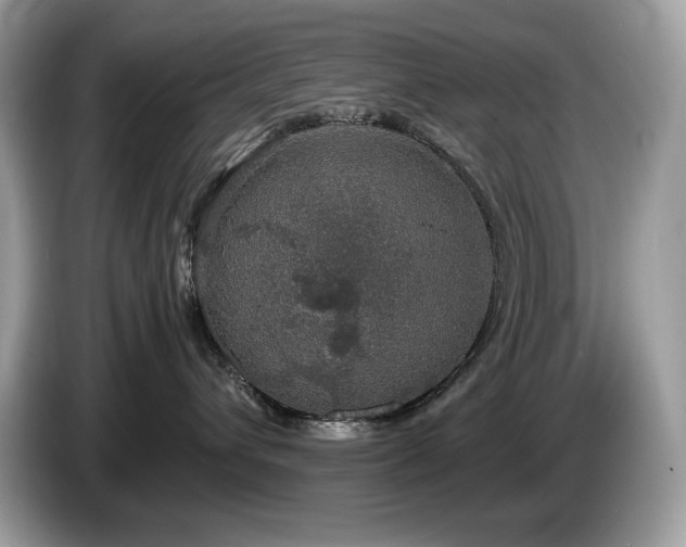 X0000087560432200704271229