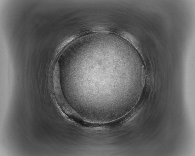 X0000087560433200704271229