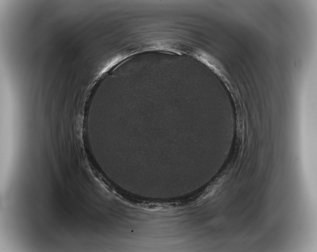 X0000087560434200704271229