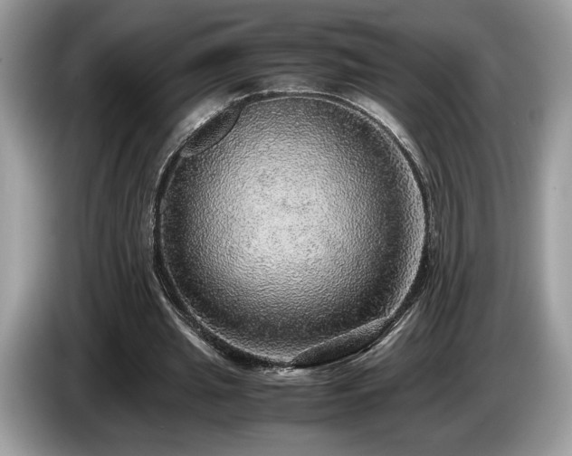 X0000087560437200704271229