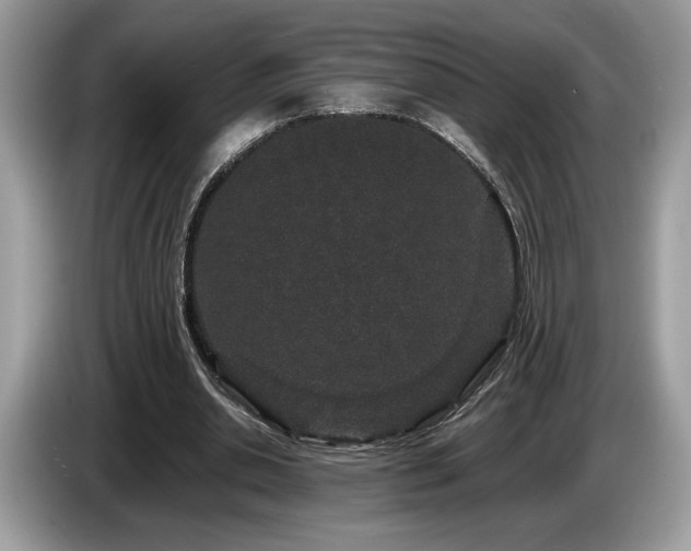 X0000087560438200704271229