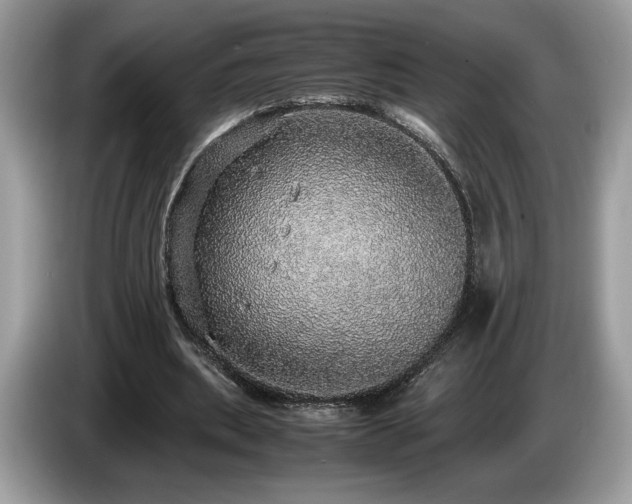 X0000087560439200704271229