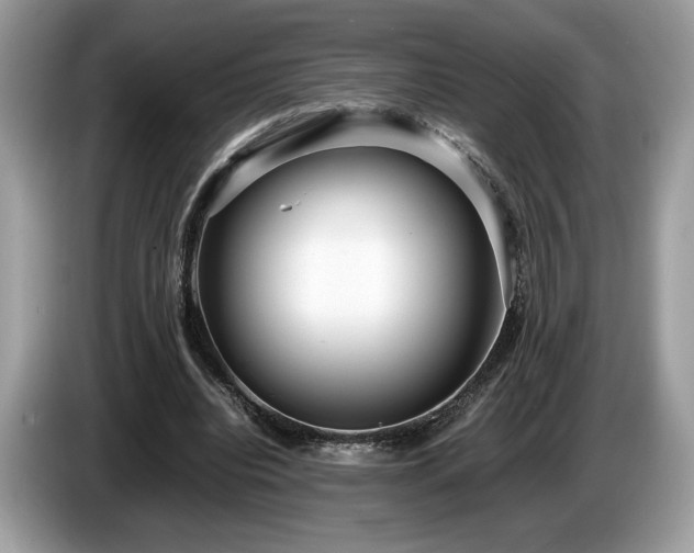 X0000087560440200704271229
