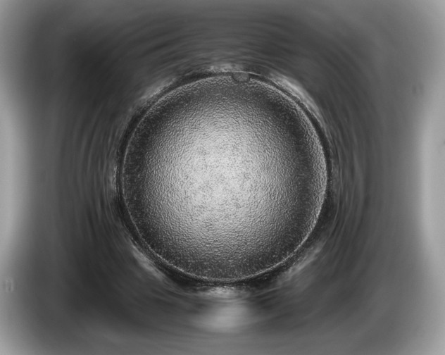X0000087560441200704271229