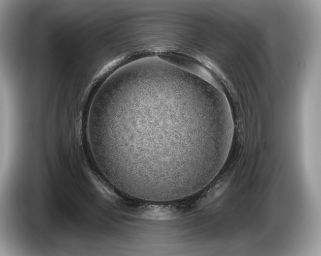 X0000087560442200704271229