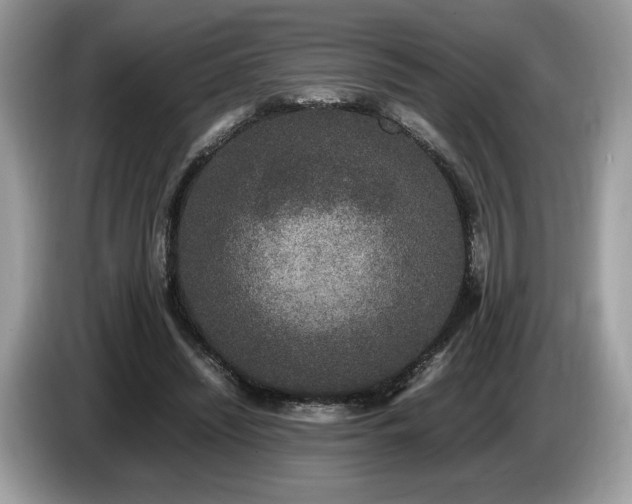 X0000087560444200704271229