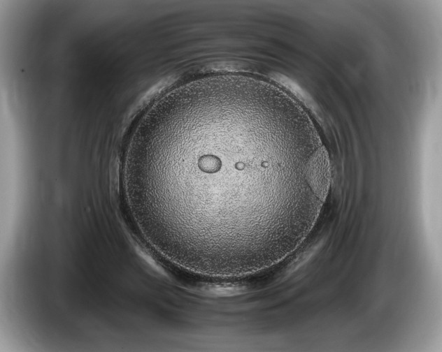X0000087560445200704271229