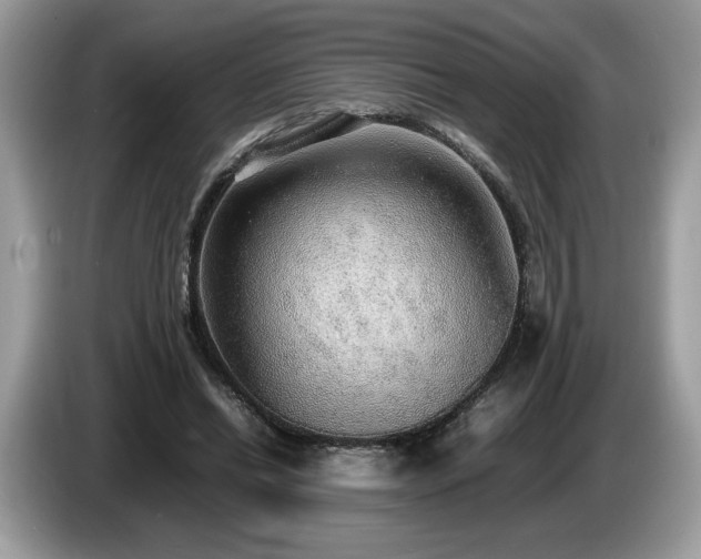 X0000087560446200704271229