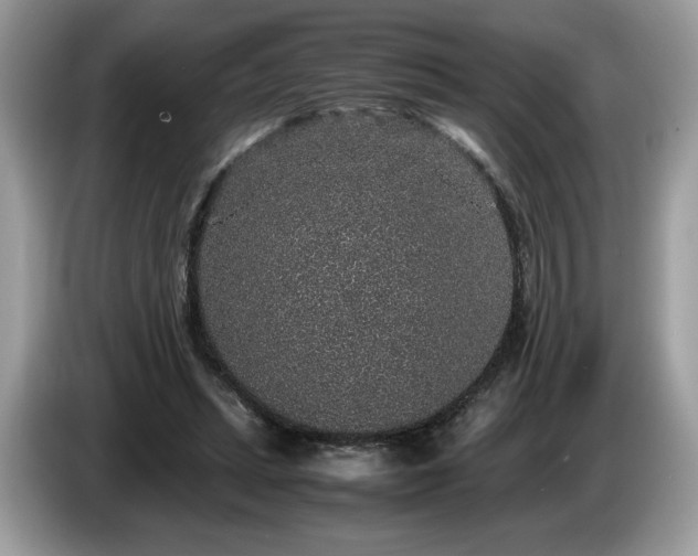 X0000087560447200704271229