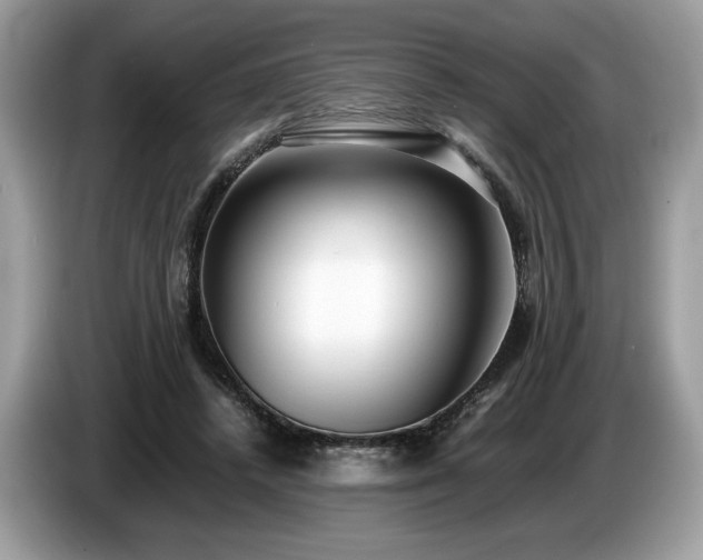 X0000087560448200704271229