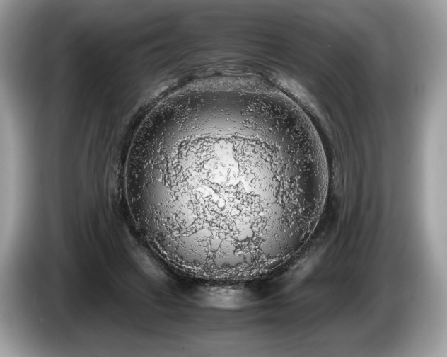 X0000087560449200704271229